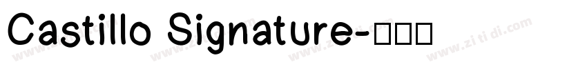 Castillo Signature字体转换